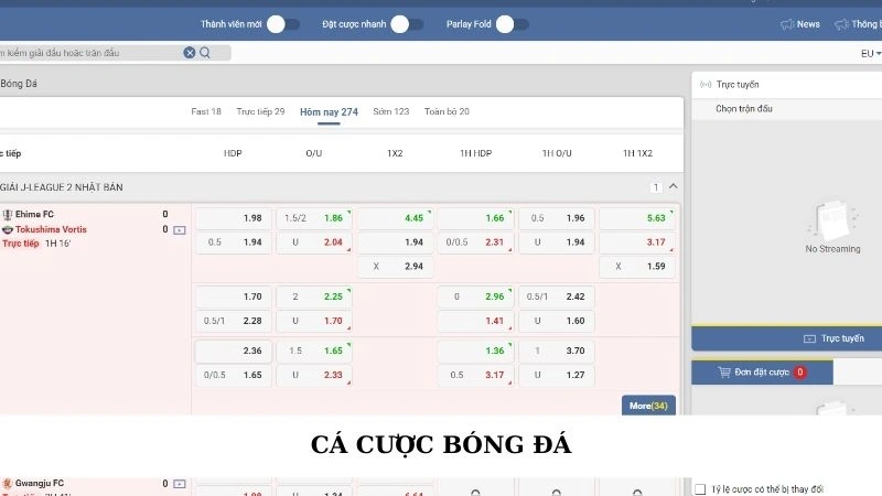 Cá cược bóng đá
