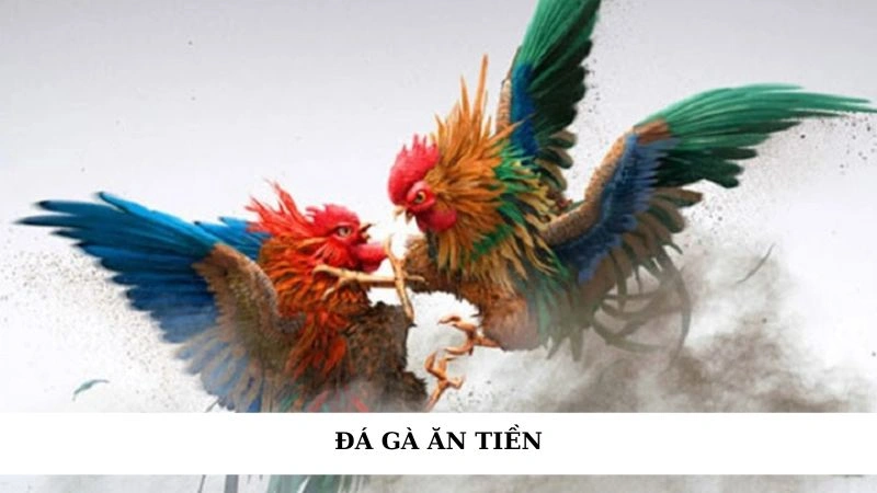 Đá gà ăn tiền
