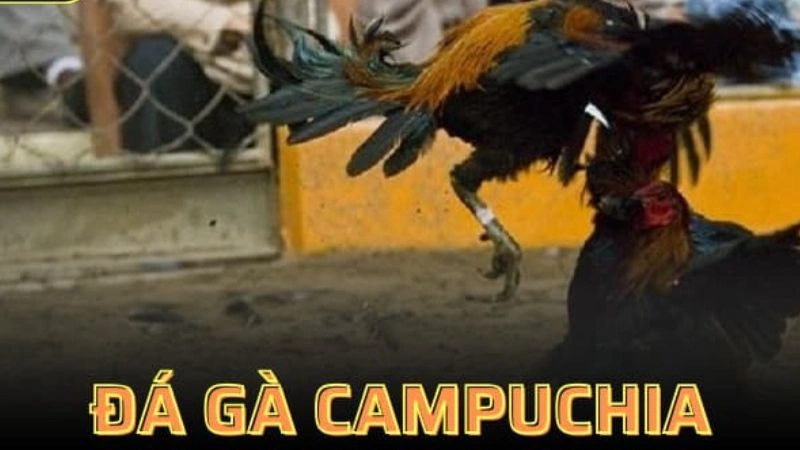 Mẹo giúp bạn tăng tỷ lệ thắng