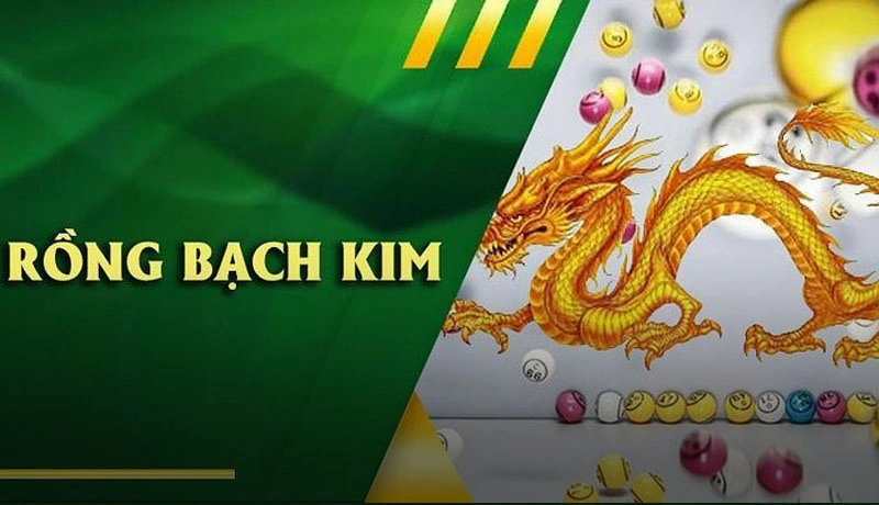 Khái niệm cụ thể về dàn đề rồng bạch kim
